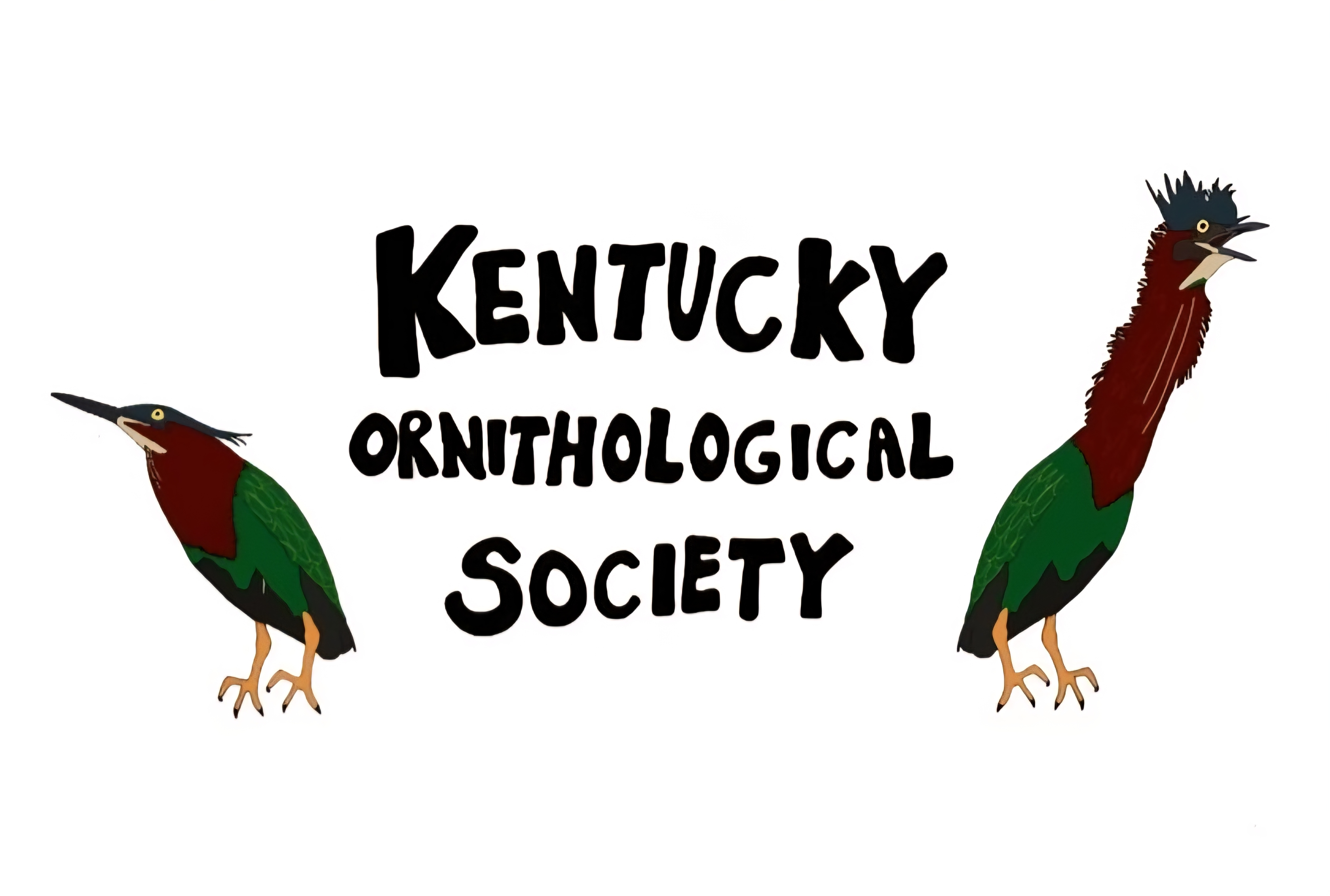 Green Heron - Samantha Engstrom