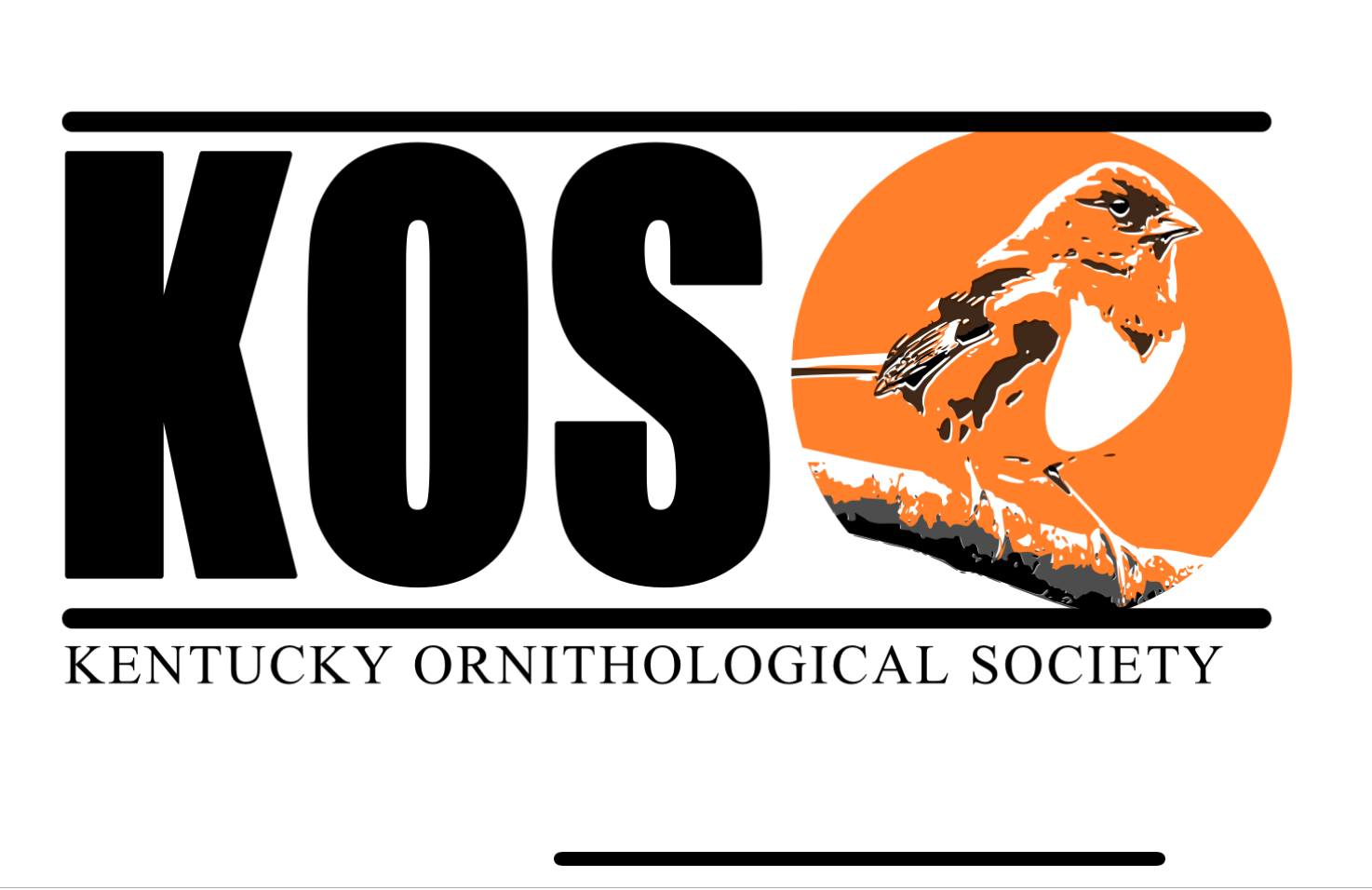 Eastern Towhee - Scott Marsh