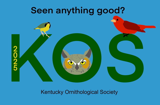 Seen anything good? - Rob Foster